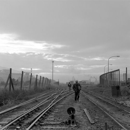 Galeria1