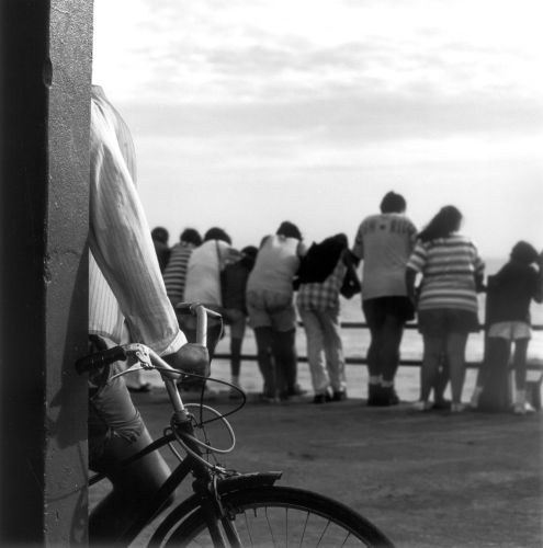 Galeria1