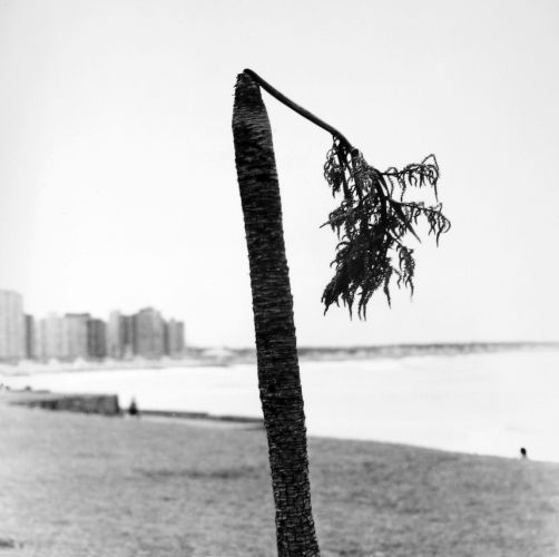 Galeria1