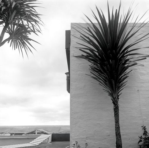 Galeria1