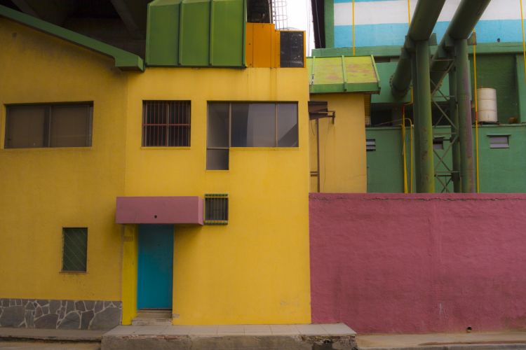 Galeria1